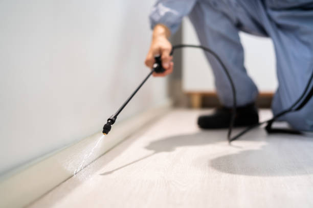Bed Bug Pre-Treatment Preparation Assessment in Manteo