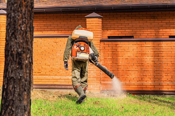 Bed Bug Clearance Verification and Documentation in Manteo
